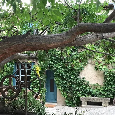 Charmante Maison A Avec Piscine Et Jardin Laure-Minervois