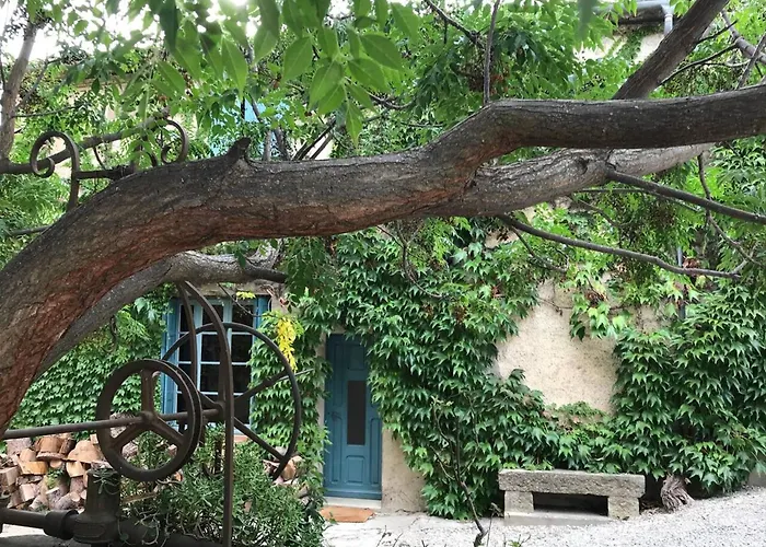 Charmante Maison A Avec Piscine Et Jardin Laure-Minervois
